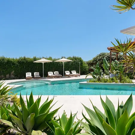 Excelencia New With Artistic Pool & Sea View Asgourou